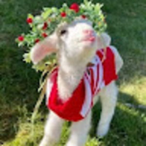 Meet your Posher, Barbara lynn